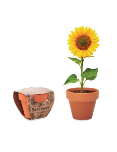 MINI POT AVEC GRAINES DE TOURNESOL "SUNFLOWER" - Accessoires de maison - SIP19
