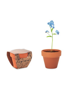 MINI POT AVEC GRAINES DE MYOSOTIS "FORGET ME NOT" - Accessoires de maison - SIP19