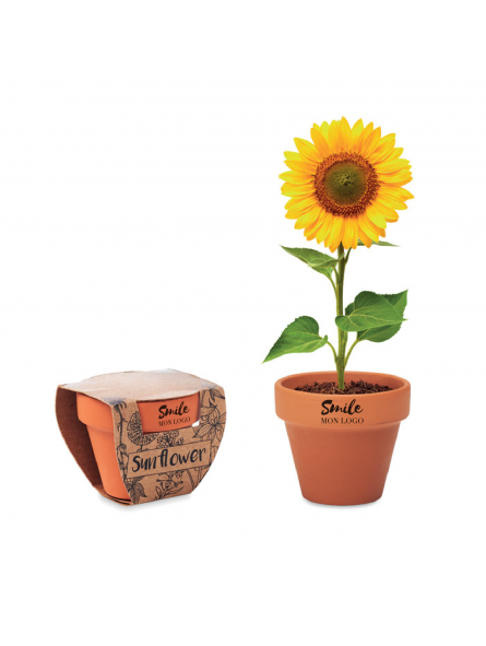 MINI POT PERSONNALISÉ AVEC GRAINES DE TOURNESOL "SUNFLOWER"