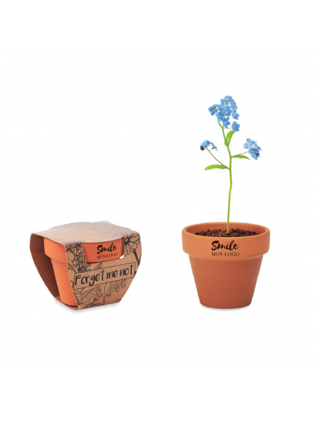 MINI POT PERSONNALISÉ AVEC GRAINES DE MYOSOTIS "FORGET ME NOT"