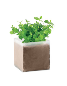 Sac personnalisable avec graines de menthe "MINT" | SIP19