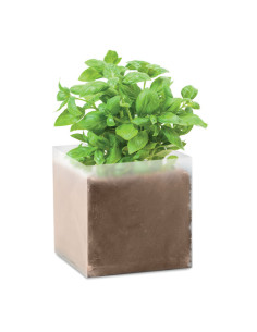Sac personnalisé avec graines de basilic "BASIL" | SIP19