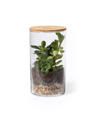 TERRARIUM PERSONNALISÉ EN VERRE ET LIÈGE "ANYMAK"