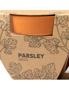 2 pots de fleurs personnalisables Basilic et Persil "TULSY" | SIP19
