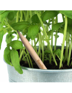 Crayon papier personnalisable avec graines à planter "SPROUT" | SIP19