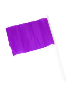 Petit drapeau personnalisable supporter avec bâton "CELEB" | SIP19