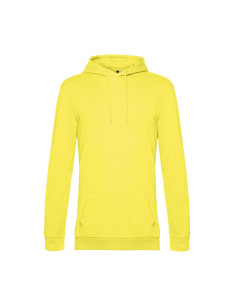 Sweat homme à capuche personnalisé french terry 280g "MOLER" | SIP19