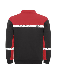 Sweat polo personnalisé homme en coton bio & RPET 280g "ROCHOS" | SIP19