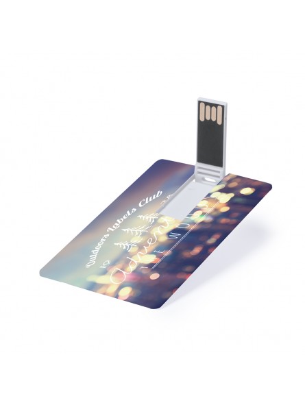 CARTE USB 16GB "SONDY" - Clés USB publicitaires - SIP19