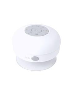 ENCEINTE BT ETANCHE "RARIAX" - Enceintes personnalisées - SIP19