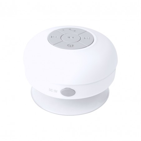 ENCEINTE BT ETANCHE "RARIAX" - Enceintes personnalisées - SIP19
