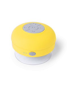 ENCEINTE BT ETANCHE "RARIAX" - Enceintes personnalisées - SIP19