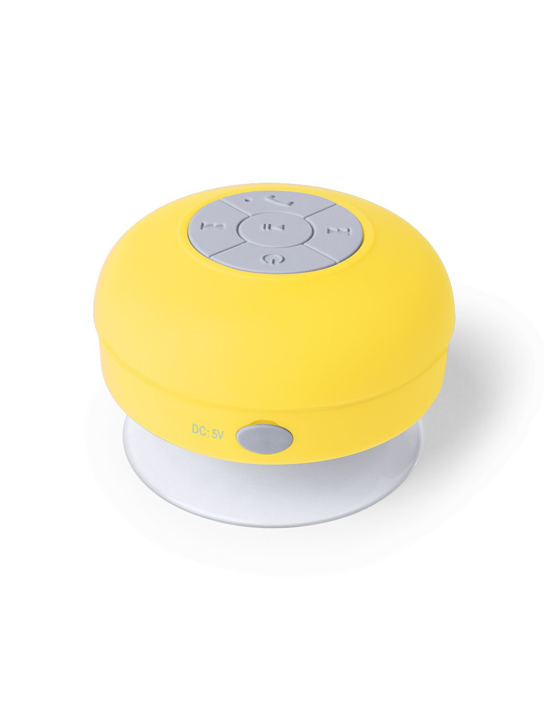 ENCEINTE BT ETANCHE "RARIAX" - Enceintes personnalisées - SIP19