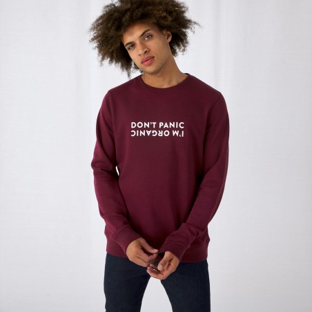 SWEAT BIO HOMME 280G "LONDON" - Sweats personnalisés - SIP19